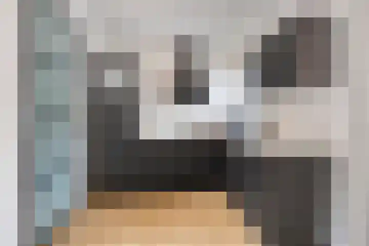 Aanslagsweg 33 Borne thumbnail 4