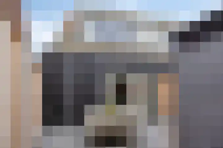 Aanslagsweg 33 Borne thumbnail 5