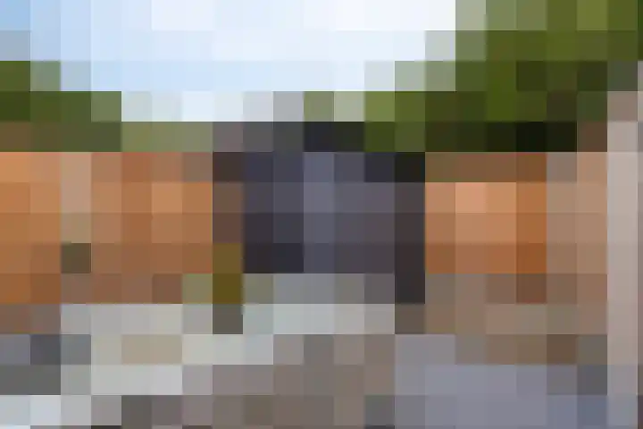 Aanslagsweg 33 Borne thumbnail 7