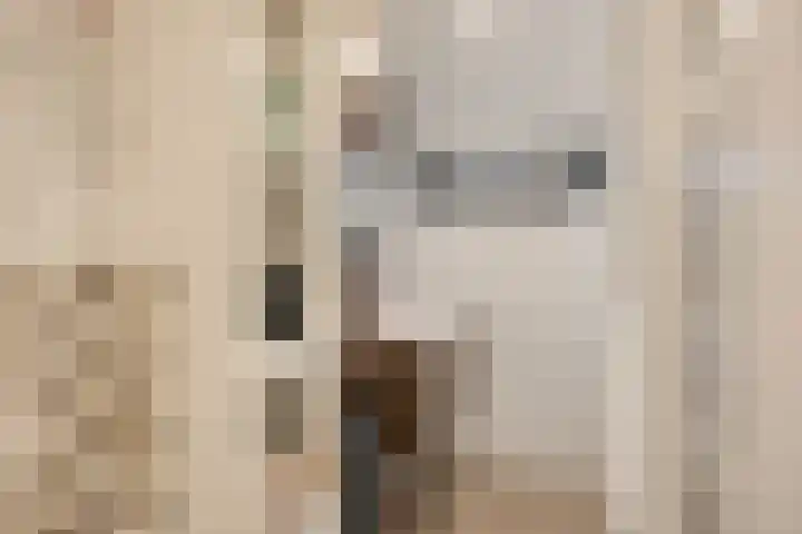 Aansteede 6 Goirle thumbnail 15