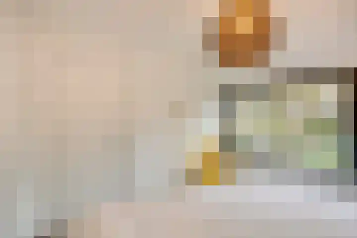 Aansteede 6 Goirle thumbnail 19