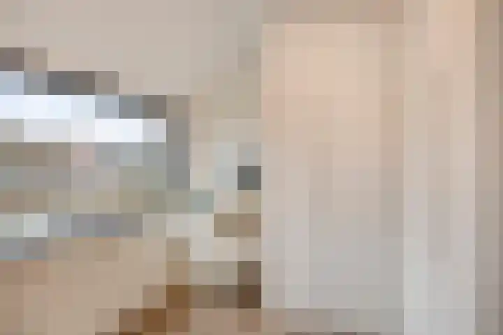 Aansteede 6 Goirle thumbnail 20