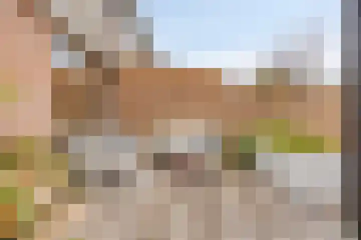 Aansteede 6 Goirle thumbnail 23