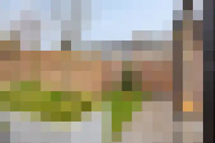 Aansteede 6 Goirle thumbnail 26