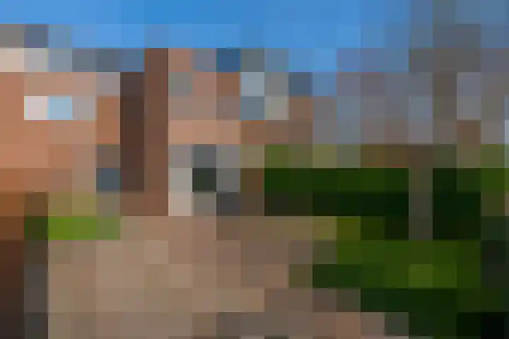 Aardaker 12 De Meern thumbnail 13