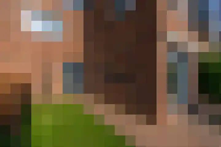 Aardaker 12 De Meern thumbnail 15