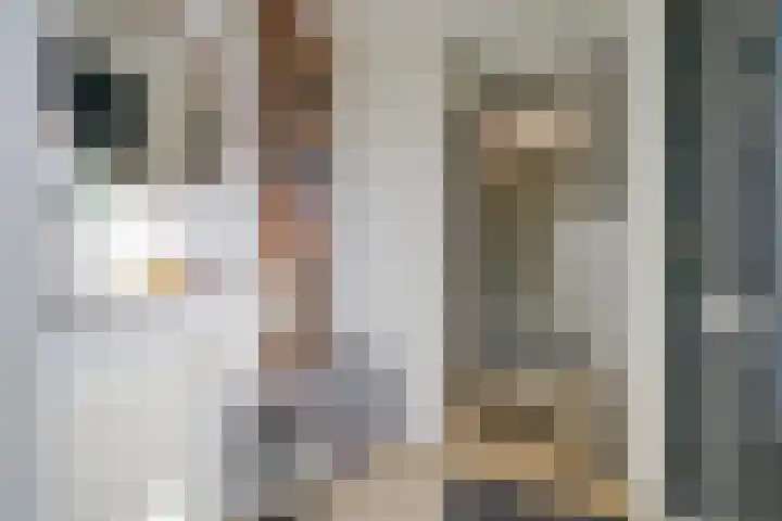 Aardaker 12 De Meern thumbnail 17