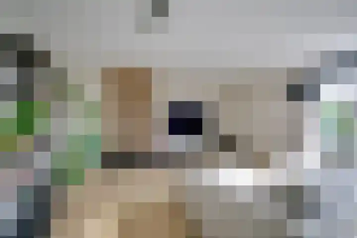 Aardaker 12 De Meern thumbnail 20