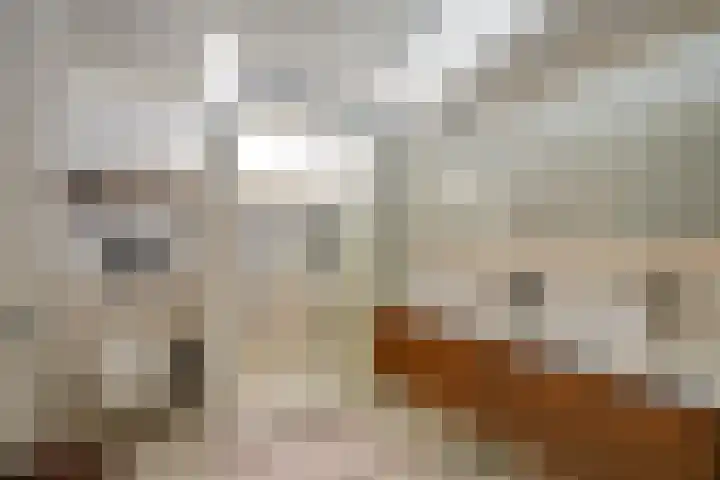 Aardaker 12 De Meern thumbnail 4
