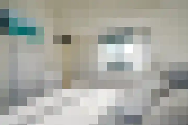 Aardaker 12 De Meern thumbnail 43