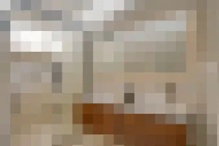 Aardaker 12 De Meern thumbnail 45