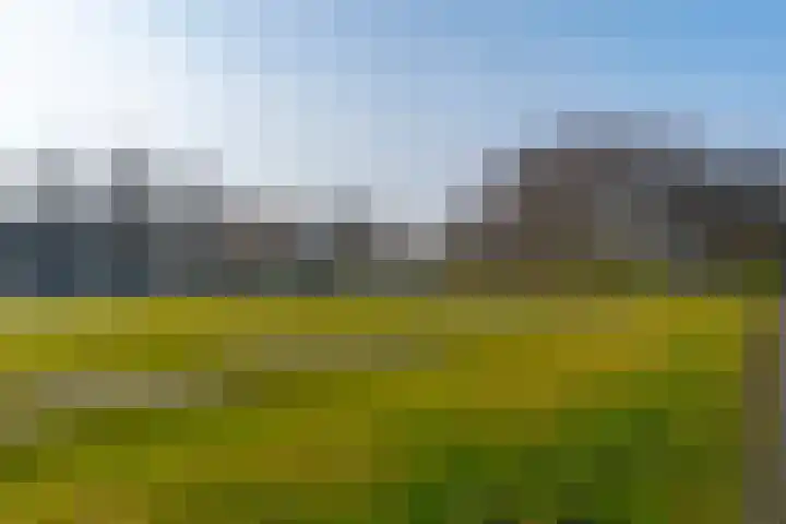 Aardaker 12 De Meern thumbnail 55