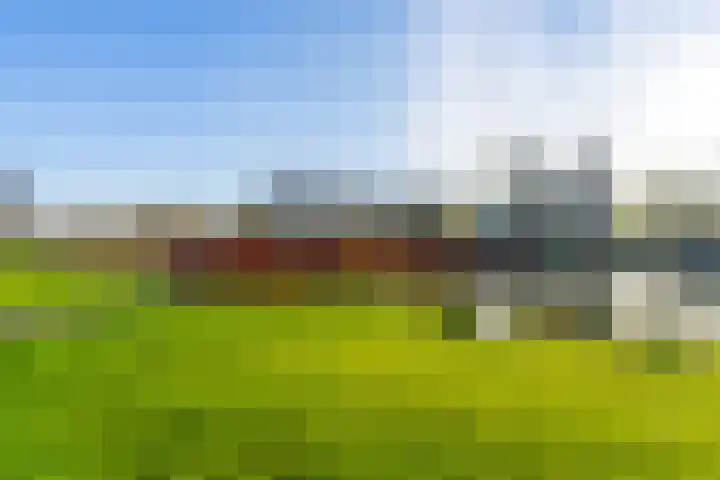 Aardaker 12 De Meern thumbnail 58