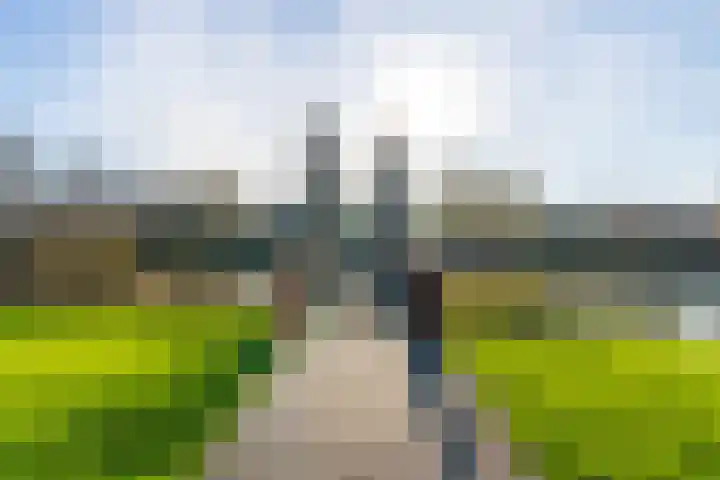 Aardaker 12 De Meern thumbnail 59