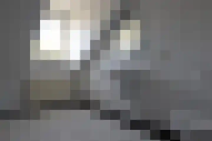 Aardaker 43 Gulpen thumbnail 15