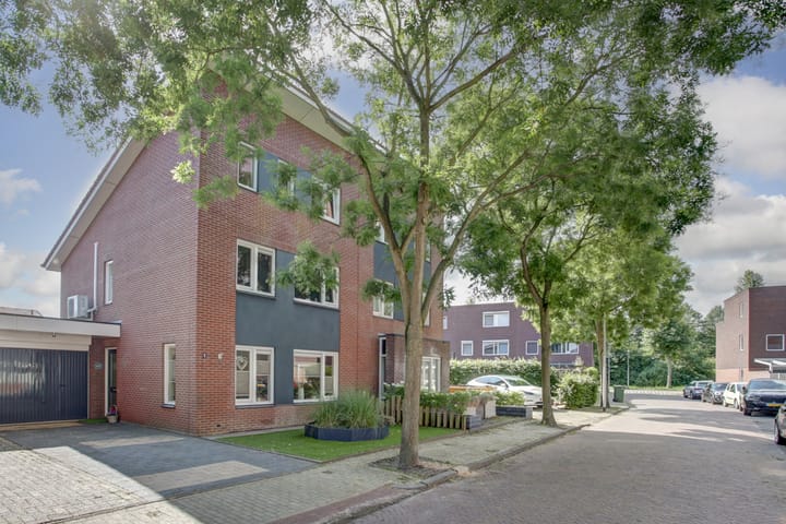 Aardbeivlinder 5 in Hoogeveen foto