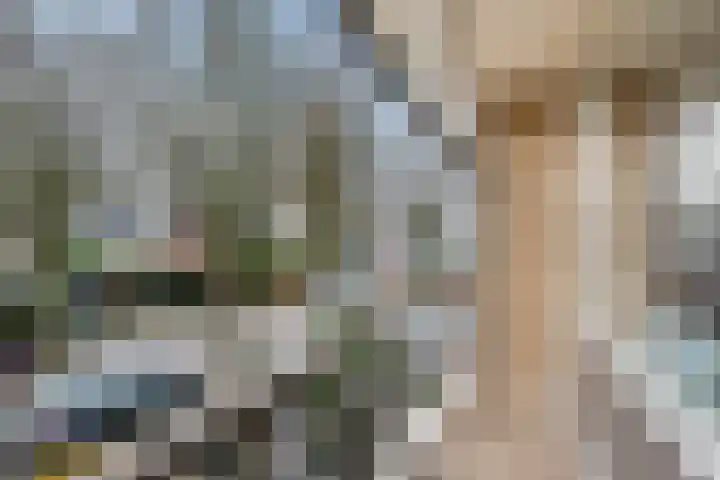 Aardelaan 22 Bilthoven thumbnail 23