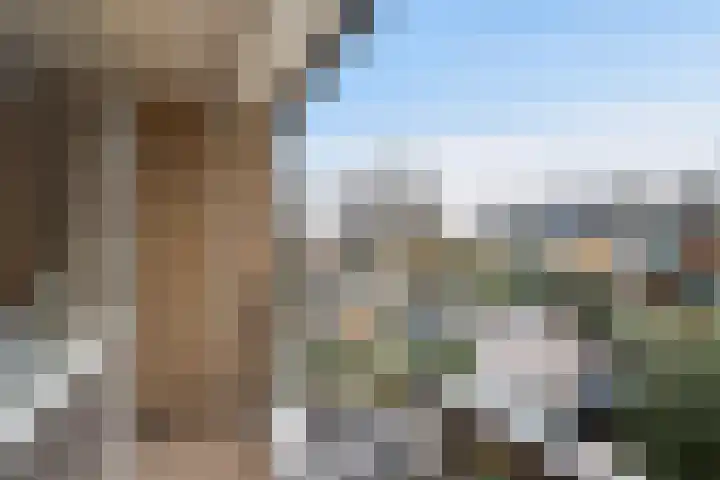 Aardelaan 22 Bilthoven thumbnail 24