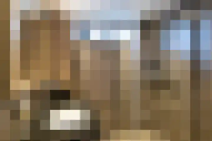Aardelaan 22 Bilthoven thumbnail 28