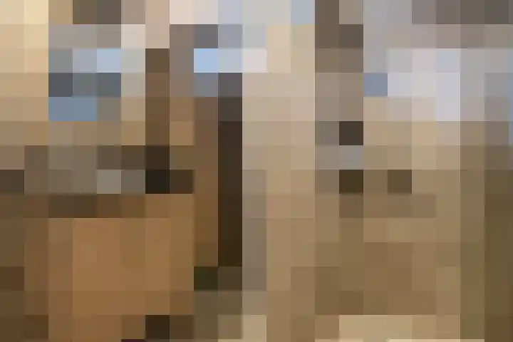 Aardelaan 22 Bilthoven thumbnail 29