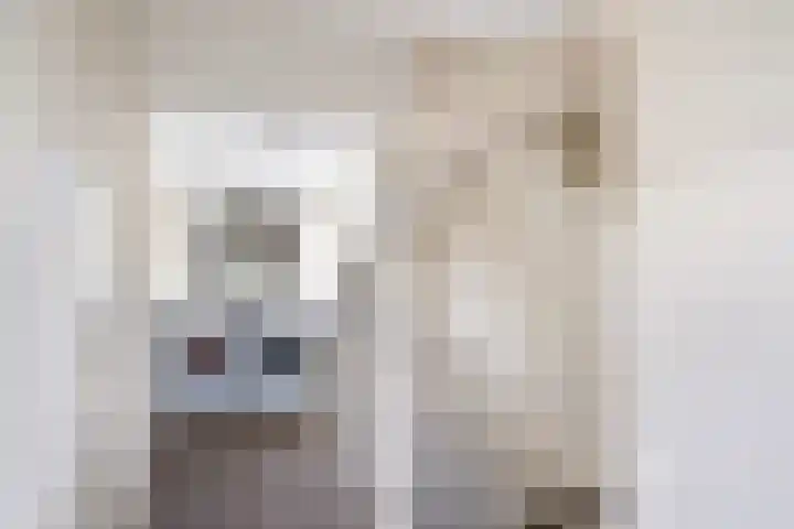 Aardelaan 22 Bilthoven thumbnail 31