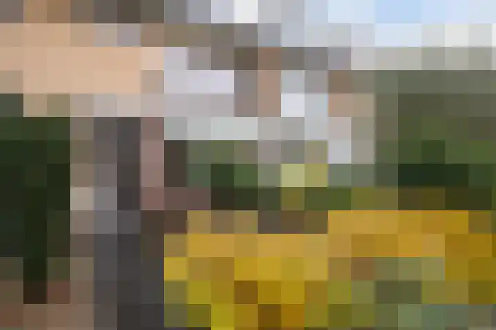Aardelaan 22 Bilthoven thumbnail 42