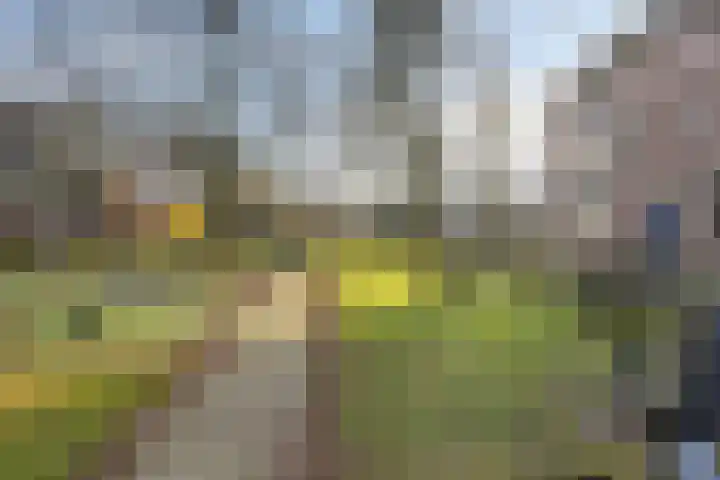 Aarhuispad 26 Rotterdam thumbnail 14