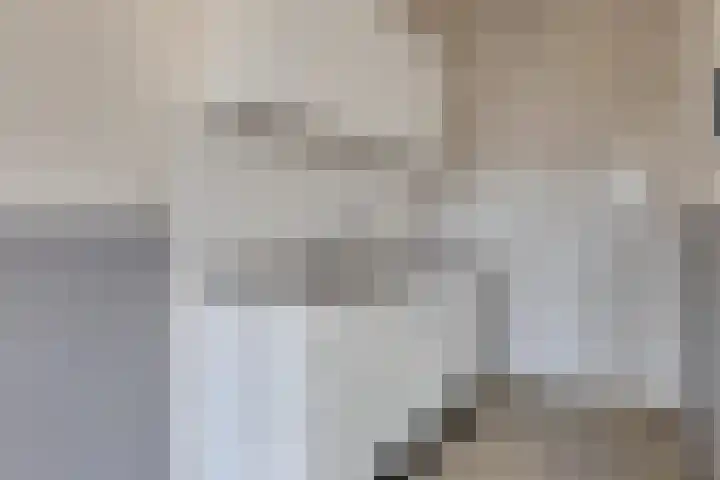 Aarhuispad 26 Rotterdam thumbnail 4