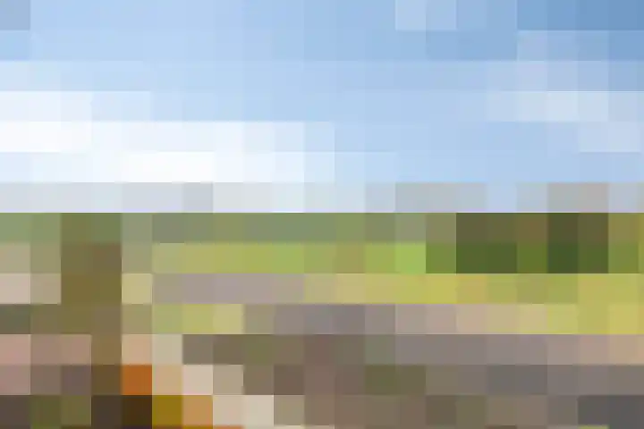 Aarlesche Erven 130 Best thumbnail 26