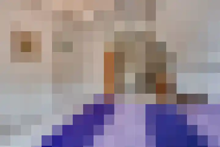 Aarweg 3 Heerlen thumbnail 9