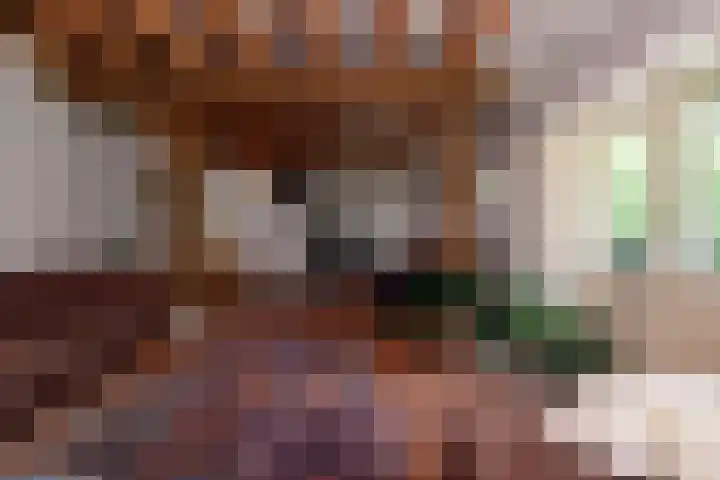Abbekesdoel 37 Bleskensgraaf ca thumbnail 12