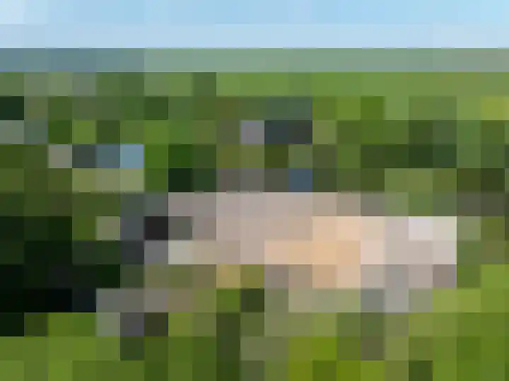 Abbekesdoel 37 Bleskensgraaf ca thumbnail 23