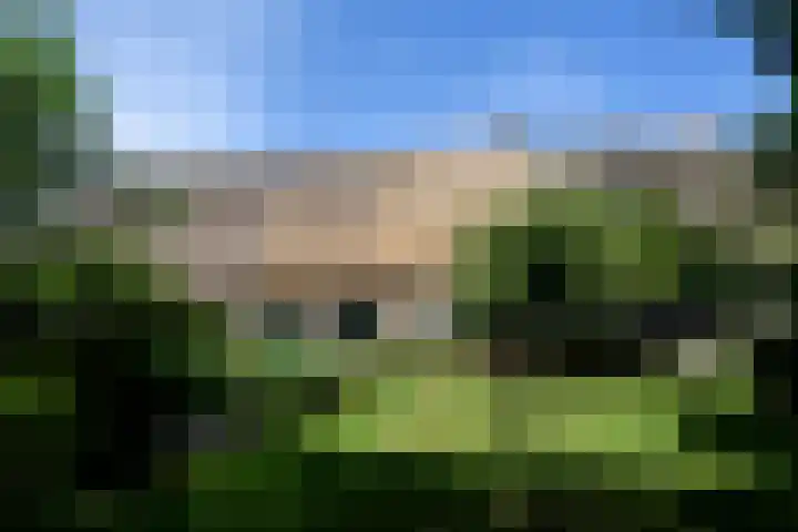 Abbekesdoel 37 Bleskensgraaf ca thumbnail 24