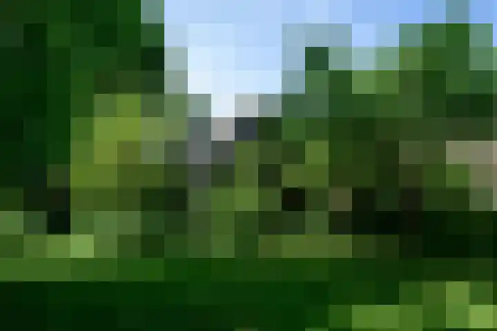 Abbekesdoel 37 Bleskensgraaf ca thumbnail 27
