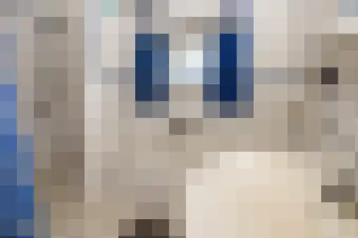 Abbekesdoel 37 Bleskensgraaf ca thumbnail 35