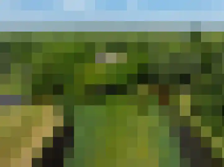 Abbekesdoel 37 Bleskensgraaf ca thumbnail 40