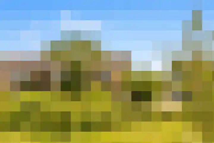 Abbenven 60 Heemskerk thumbnail 11
