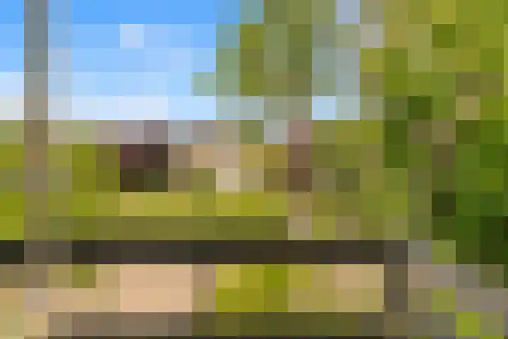 Abbenven 60 Heemskerk thumbnail 23