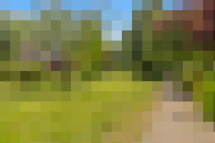 Abbenven 60 Heemskerk thumbnail 30