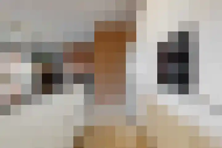 Abcoudermeer 33 Abcoude thumbnail 12