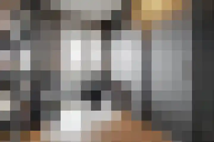 Abcoudermeer 33 Abcoude thumbnail 14