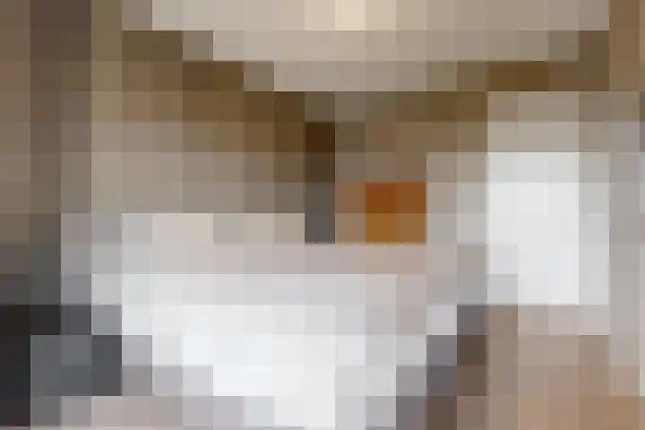 Abcoudermeer 33 Abcoude thumbnail 18