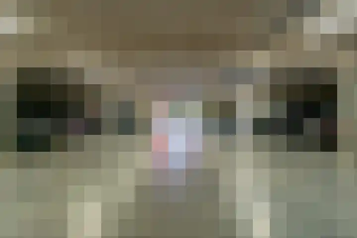 Abcoudermeer 33 Abcoude thumbnail 32
