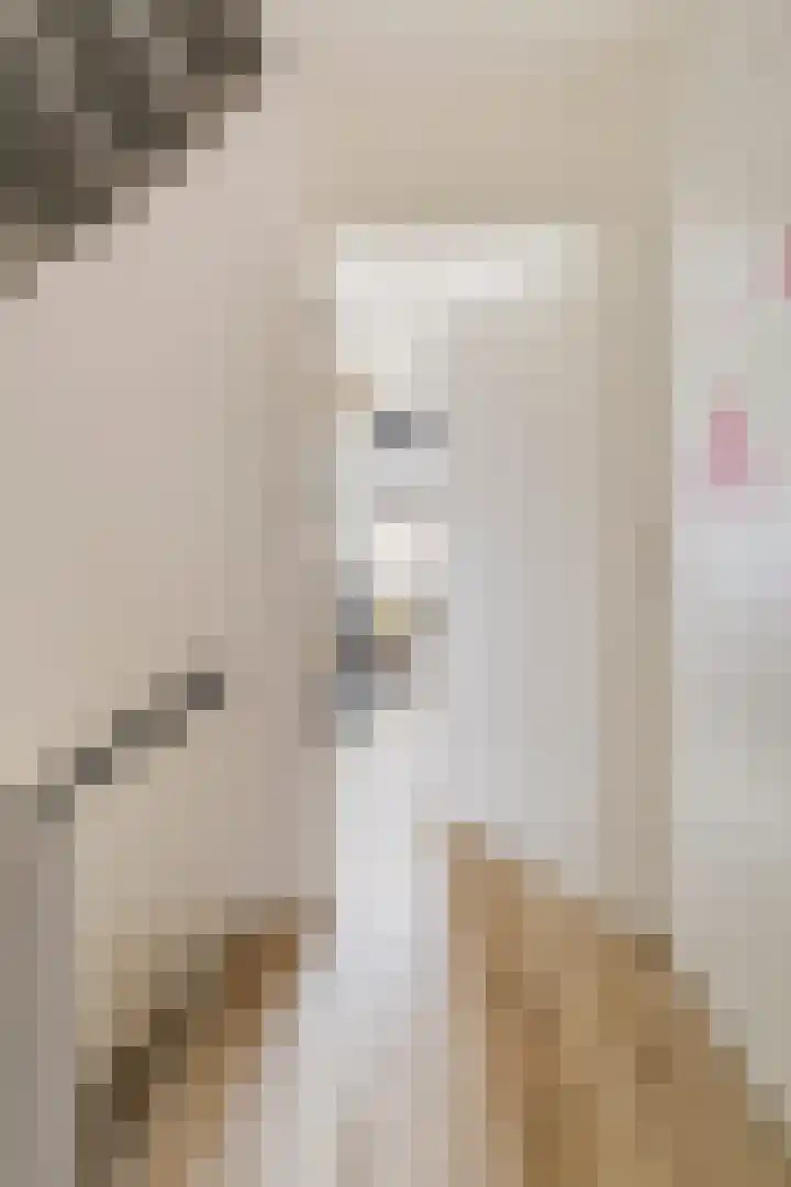 Abdij 2 Blokker thumbnail 13