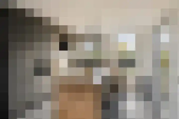 Abdij 2 Blokker foto 3