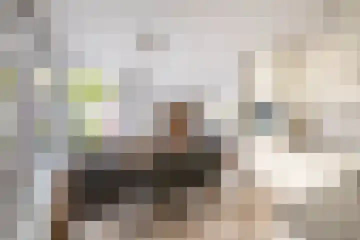 Abdijlaan 18 Helmond thumbnail 15
