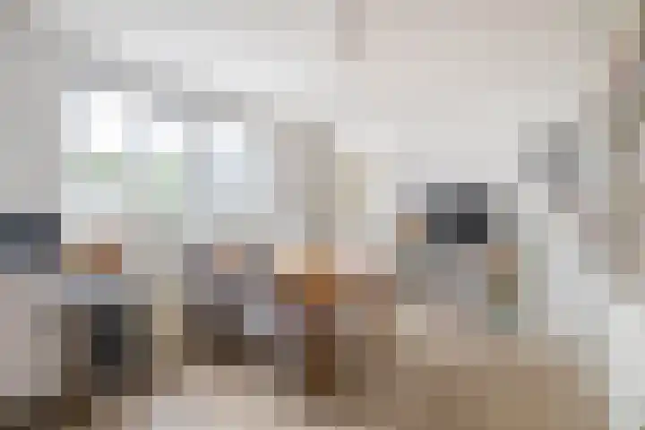 Abdijlaan 18 Helmond thumbnail 22