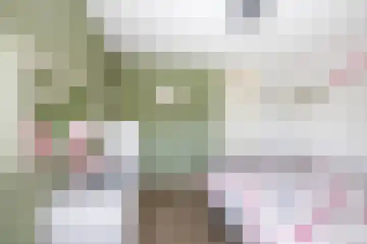 Abdijlaan 18 Helmond thumbnail 31