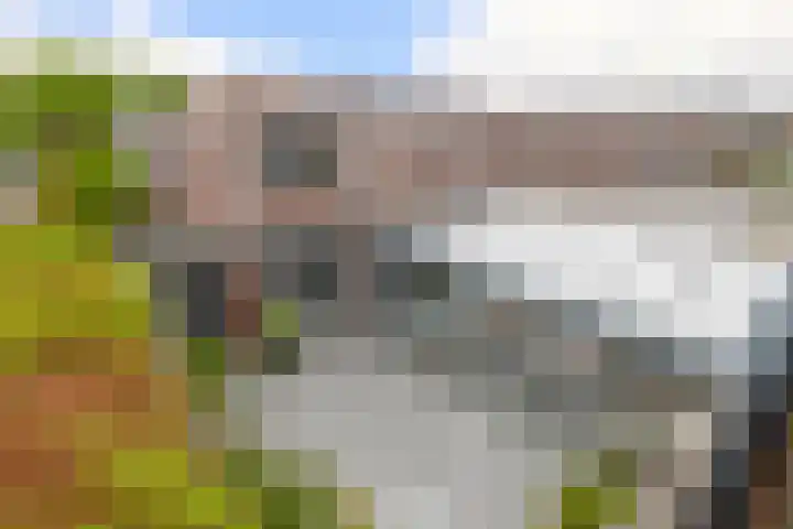 Abdijlaan 18 Helmond thumbnail 41