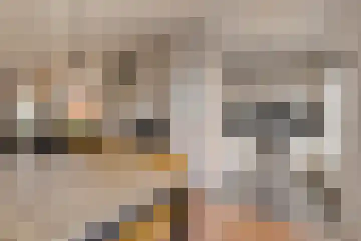 Abdijlaan 338 Uden thumbnail 12